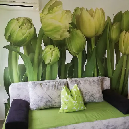 Apartment Ksenija *