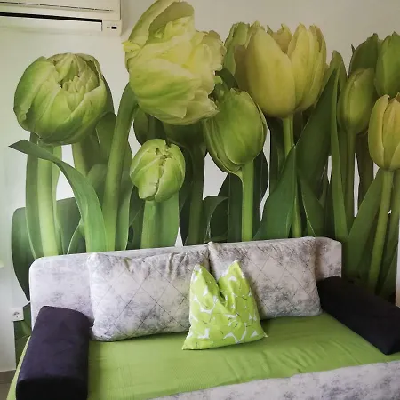Apartman Ksenija *
