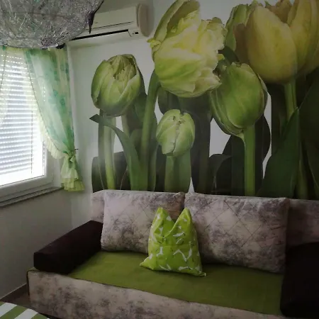 Apartment Ksenija *